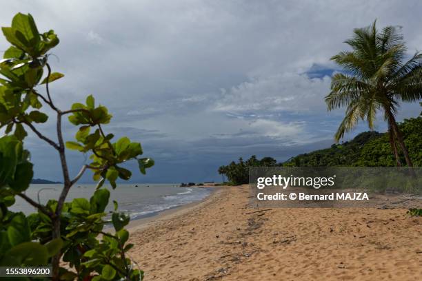 beach in french guiana - french guiana stock-fotos und bilder