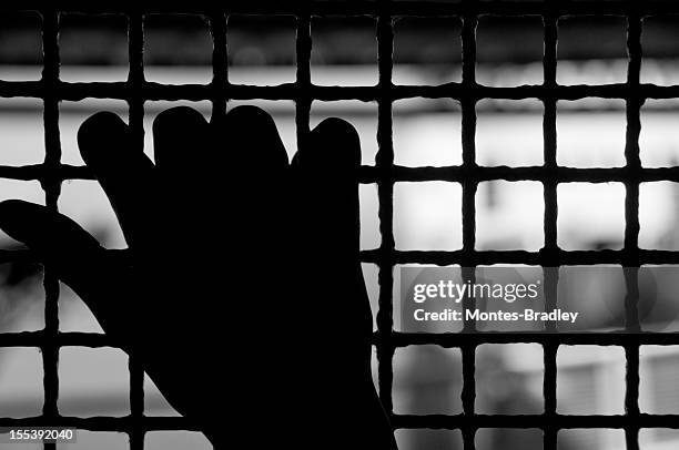 mani per la libertà - detenuto foto e immagini stock