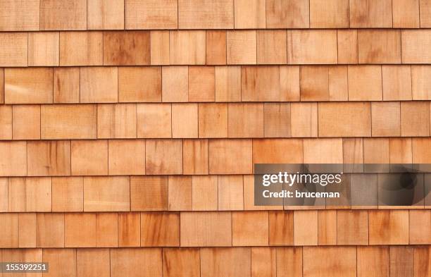 cedar siding - cedar tree bildbanksfoton och bilder