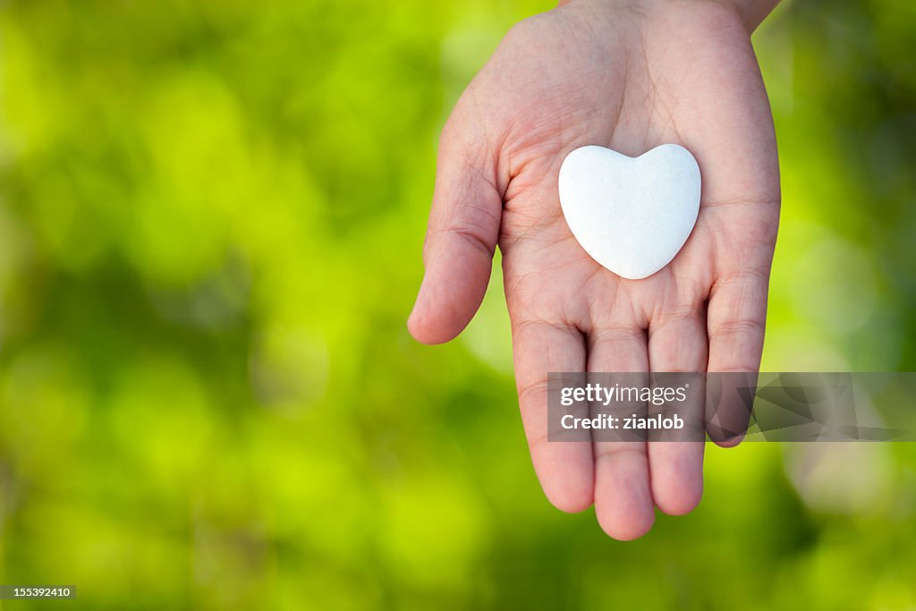 Open hand holding a heart on defocused green background.