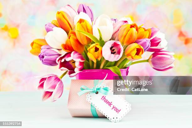 bouquet of tulips and thank you gift - thank you korte frase stockfoto's en -beelden