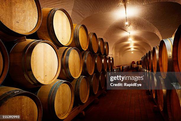 beaucoup de avenir vin. tonneaux de chêne maturing dans une cave vinicole - tonneau photos et images de collection
