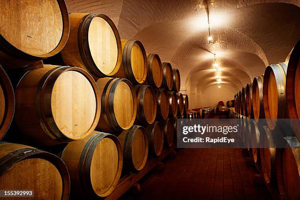 たくさんの将来のワイン。オーク樽 maturing ワインセラーのワイナリー - barrels ストックフォトと画像