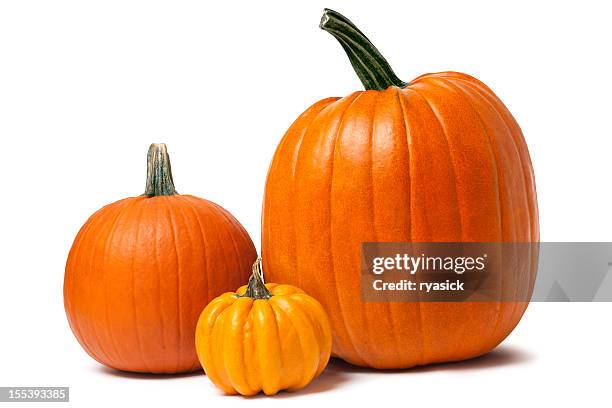 kürbis isoliert auf weiss mit clipping path - pumpkin stock-fotos und bilder