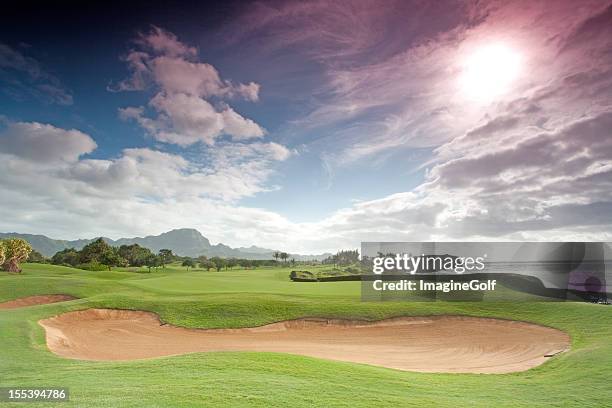 beautiful golf course scenic in hawaii - hawaii flag 個照片及圖片檔
