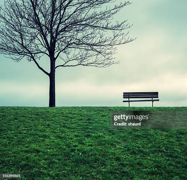 spring evening - park bench stock pictures, royalty-free photos & images