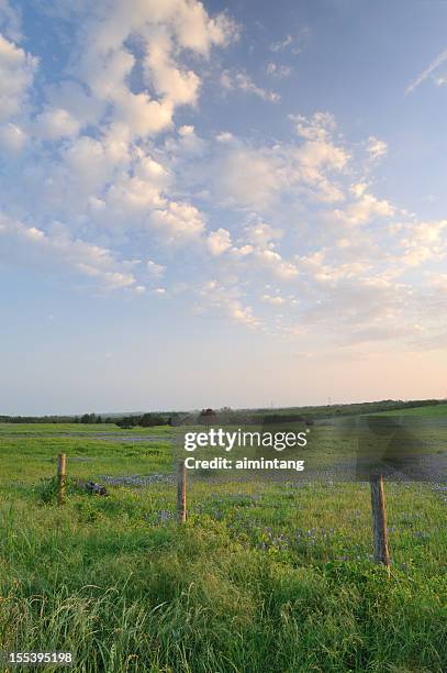 paisaje de texas - rancho fotografías e imágenes de stock