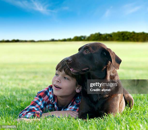 boy and his dog - chocolate labrador stock pictures, royalty-free photos & images