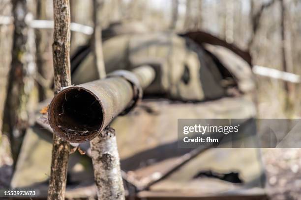 old rusty tank in the forest - military vehicle stock pictures, royalty-free photos & images