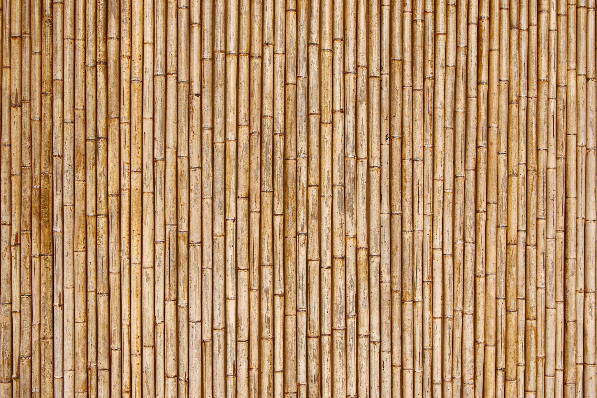 bamboo construction