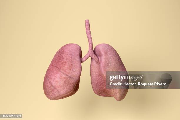 3d rendering of lung in yellow background, health concept - long nose stockfoto's en -beelden