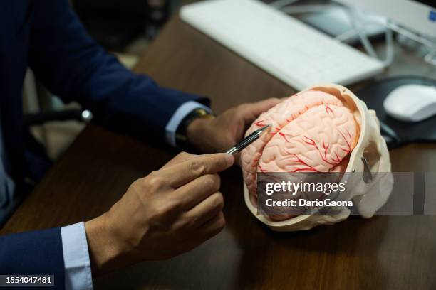 explicando el cerebro humano - cerebro fotografías e imágenes de stock