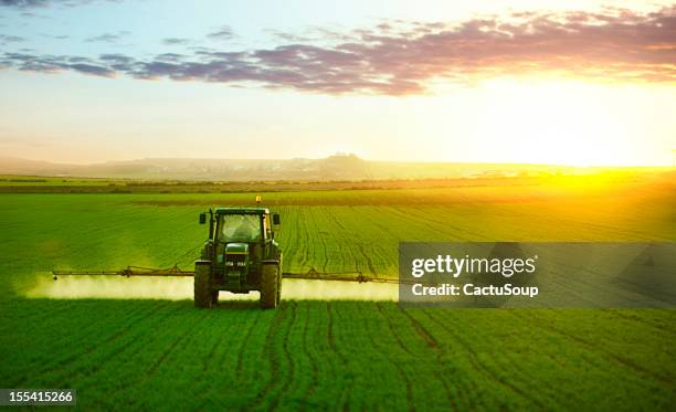 tractor working in field of wheat - insecticide sprayer stock pictures, royalty-free photos & images