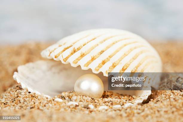 Pearls Containing Shells Ground Pearl Shell Photos and Premium High Res Pictures - Getty Images