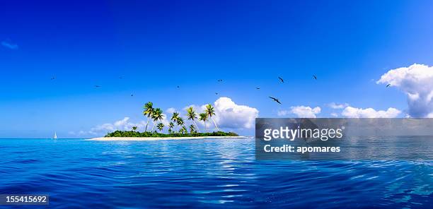 tropical fantasy island in the caribbean sea - verboten stockfoto's en -beelden