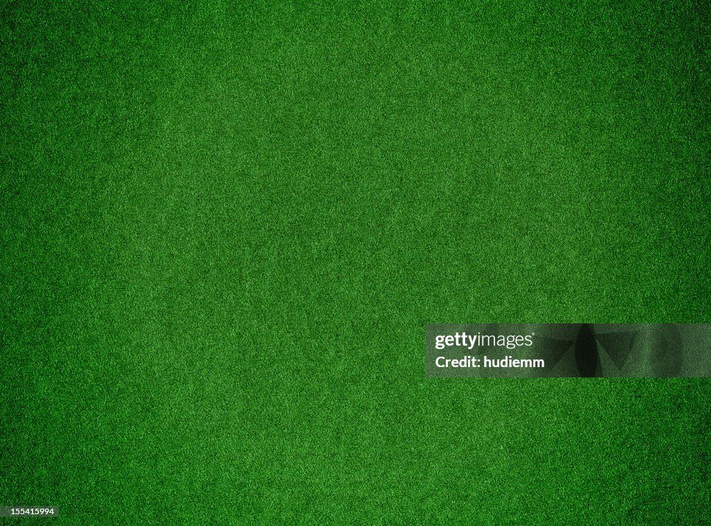 Green grass background textured