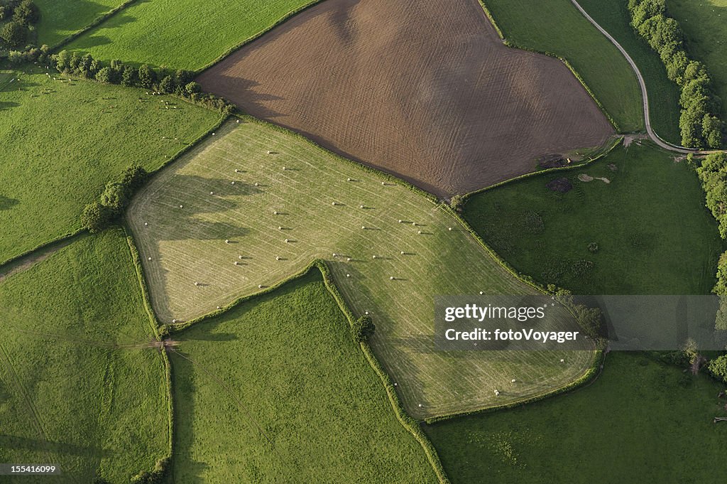 Aerial view over farm fields crops and hedgerows