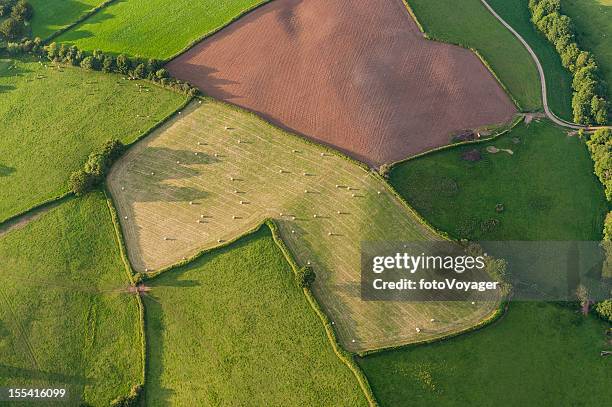 aerial view over farm fields crops and hedgerows - aerial view farm stock pictures, royalty-free photos & images