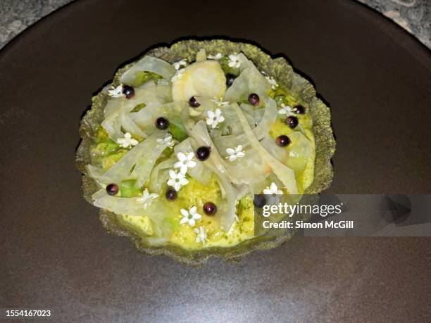 tartaleta de mambe, hinojo, aguacate, miel del bosque seco [mambe (fine powder ground from toasted coca leaves), fennel and avocado tartlet with dry forest honey] - aguacate imagens e fotografias de stock