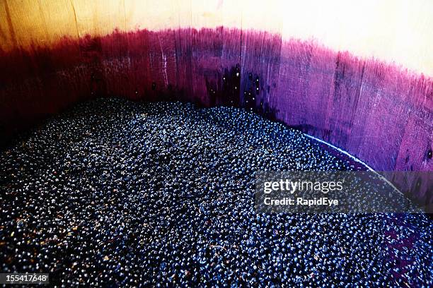 wine grapes ready for pressing in stained oak barrel - red grape stock pictures, royalty-free photos & images