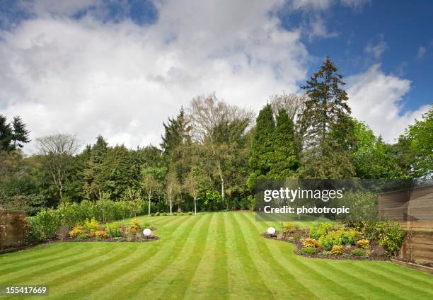 garden view - grasveld stockfoto's en -beelden