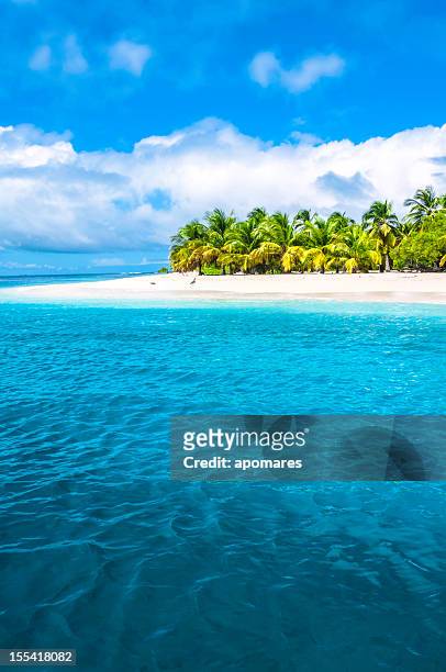 île tropicale turquoise plage avec cocotiers - caraïbéen photos et images de collection