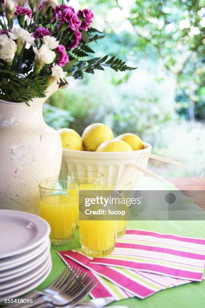 table setting with lemonade, pink and green deco at garden - summer cocktails garden party drinks bildbanksfoton och bilder