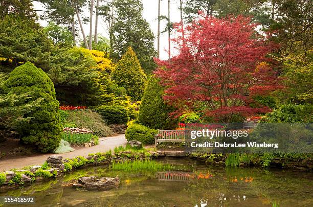 Japanese Garden Benches Photos and Premium High Res Pictures - Getty Images