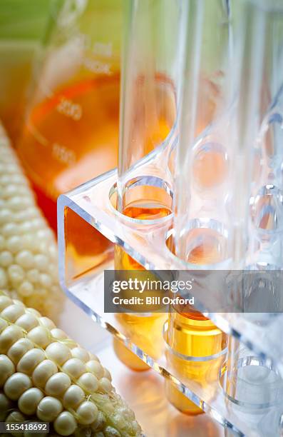 combustible biológico o maíz almíbar - organic chemistry in laboratory fotografías e imágenes de stock