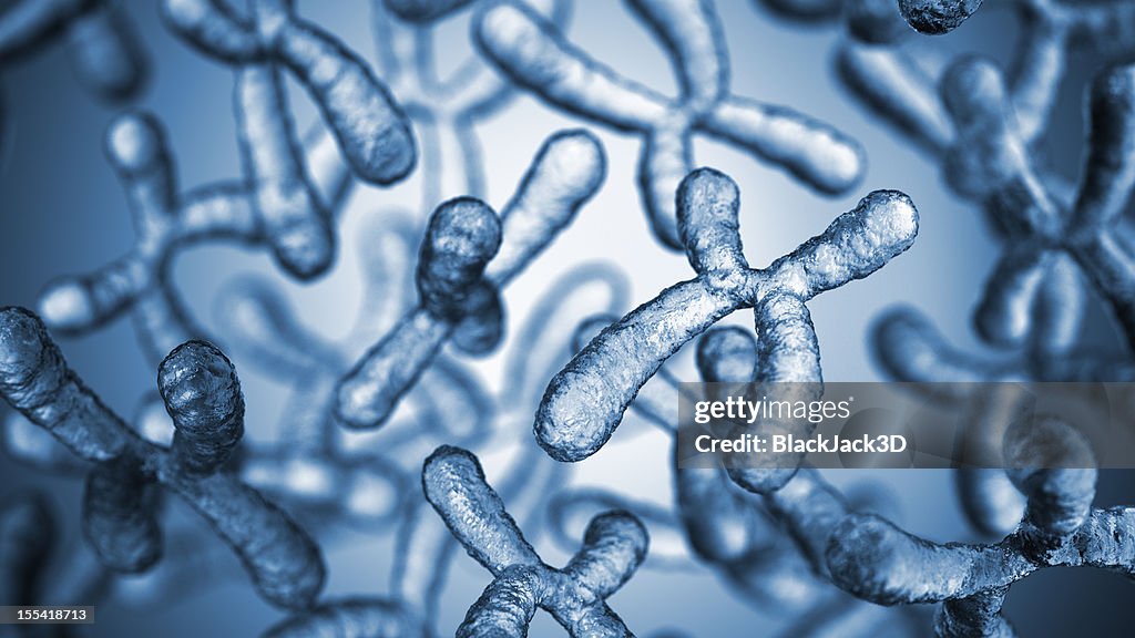 Chromosomes