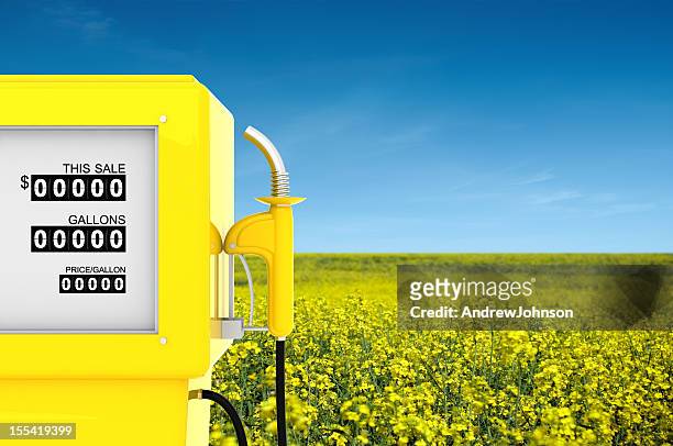 concetto di colza combustibile biologico - bio diesel foto e immagini stock