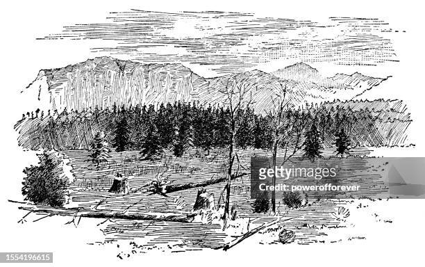 ilustrações, clipart, desenhos animados e ícones de a cordilheira sangre de cristo das montanhas rochosas no colorado, estados unidos - século 19 - sangre
