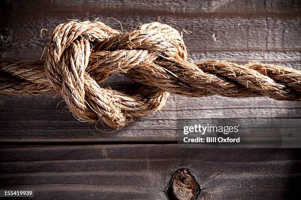 knot. love. tension. - knotted wood stock pictures, royalty-free photos & images