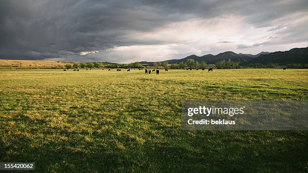 dramatic storm clouds over cattle ranch - ranch stockfoto's en -beelden