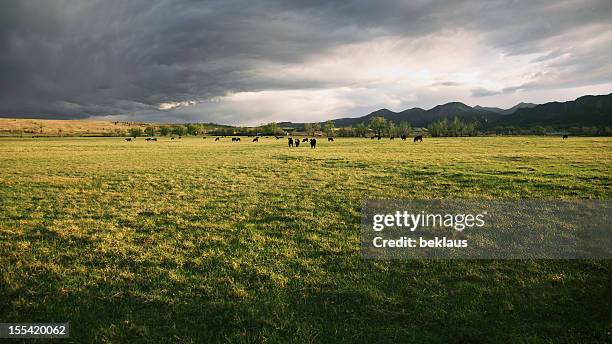 dramatic storm clouds over cattle ranch - ranch stock pictures, royalty-free photos & images