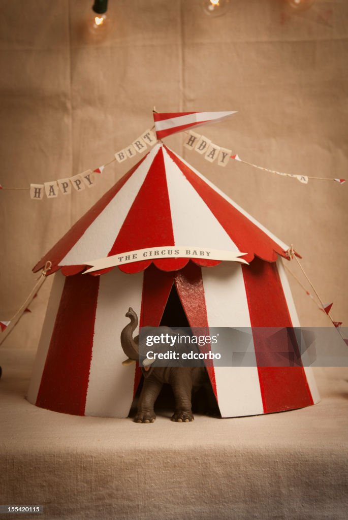 Circus