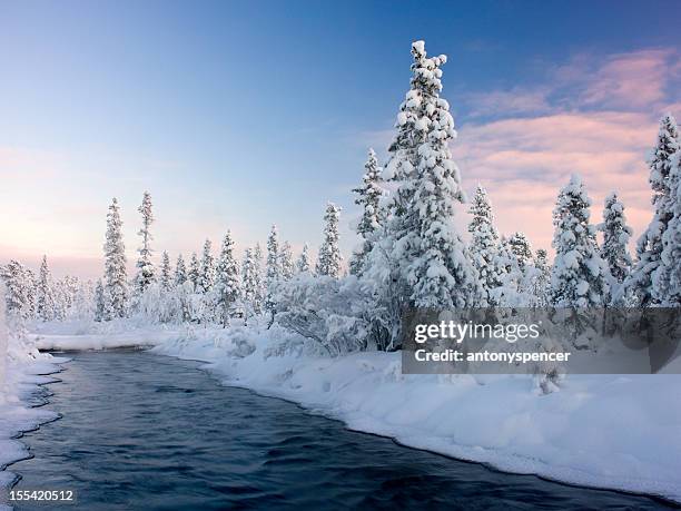 river through swedish lapland. - sweden lapland stock pictures, royalty-free photos & images