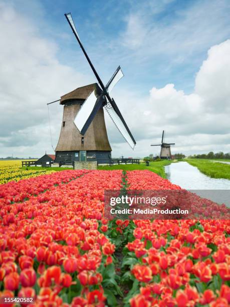 netherlands - amsterdam canals stockfoto's en -beelden