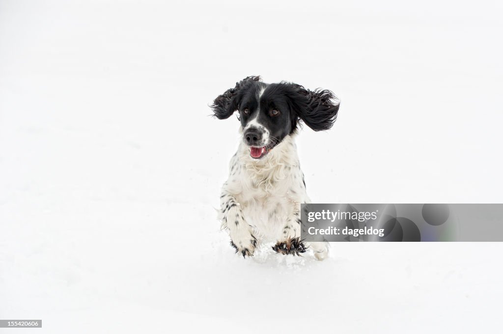 La primera nieve