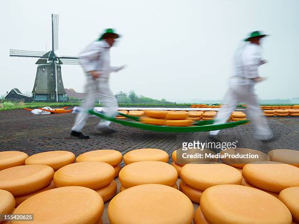 dutch cheese market - cheese production in netherlands bildbanksfoton och bilder