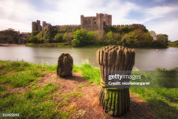 pembroke castle, wales - welsh culture stock pictures, royalty-free photos & images