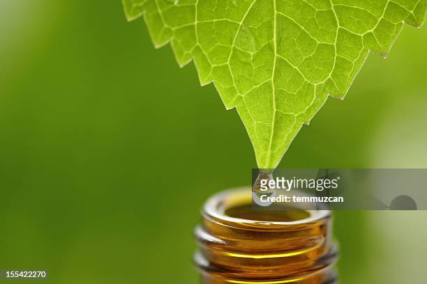 drop - aromatherapy stock-fotos und bilder