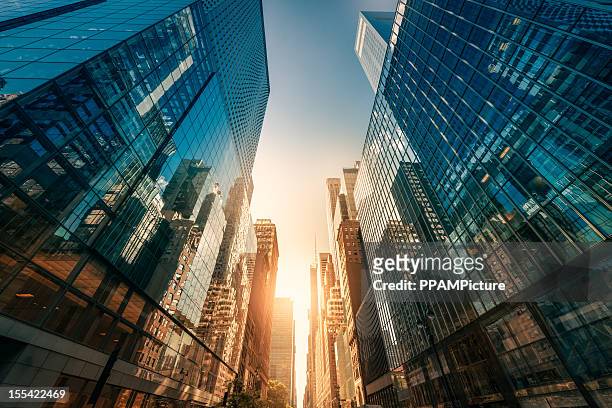office skysraper in the sun - stadsdeel stockfoto's en -beelden