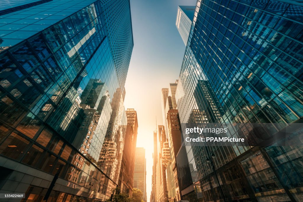 Office skysraper in the sun