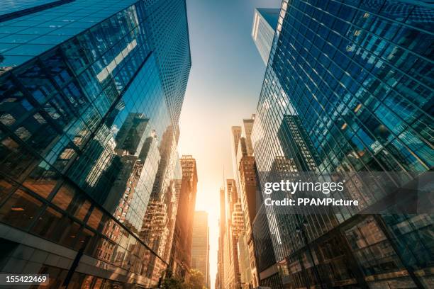 office skysraper in the sun - commercial building exterior stock pictures, royalty-free photos & images