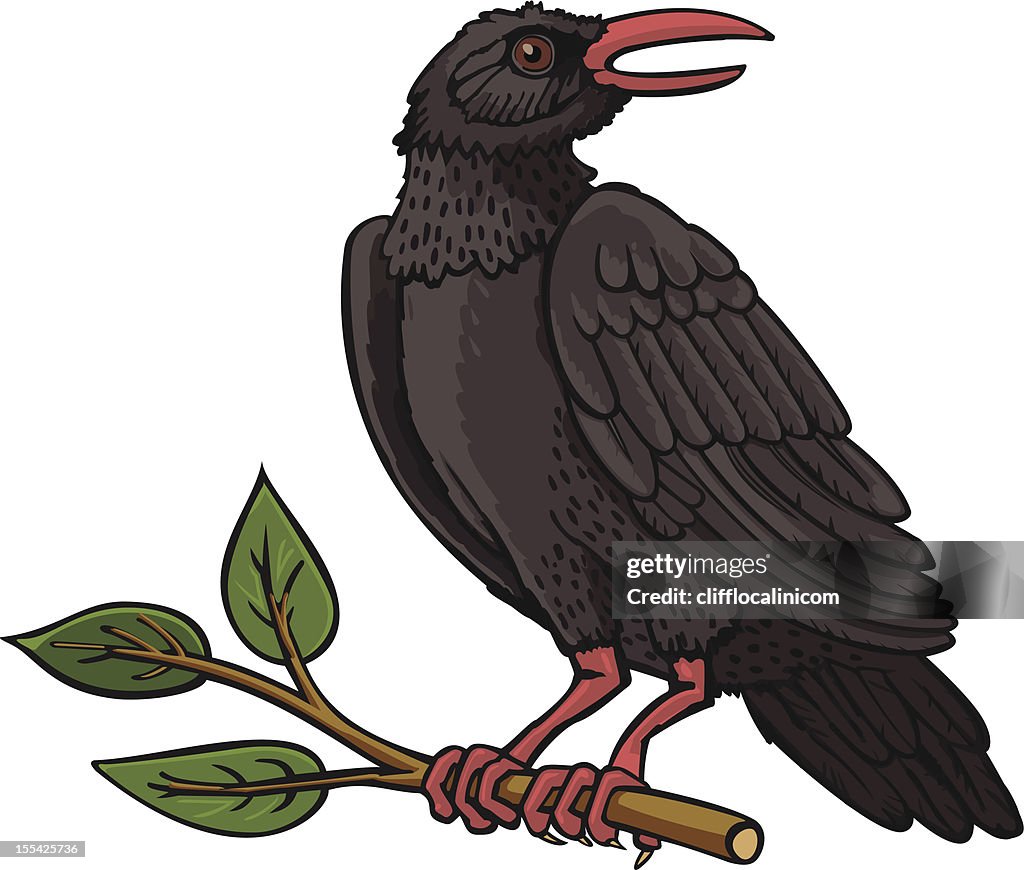 Bird with a twig