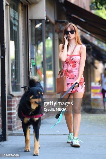 Emily Ratajkowski is seen walking her dog on July 25, 2023 in New York City.