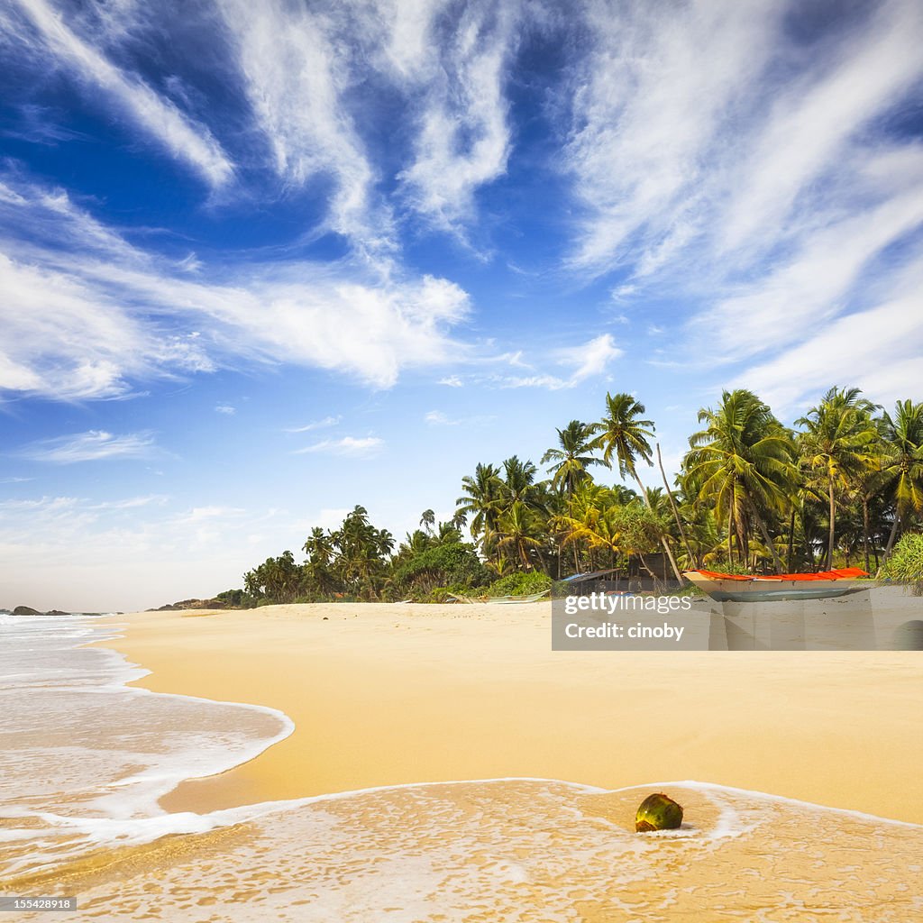 Plage tropicale de Sri Lanka