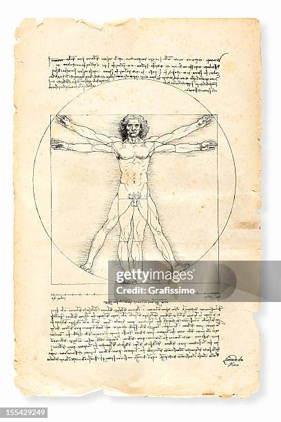 vitruvischer mann gemalt von leonardo da vinci von 1492 - da vinci stock-grafiken, -clipart, -cartoons und -symbole