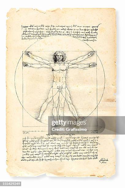 vitruvian man painted by leonardo da vinci from 1492 - leonardo da vinci stock illustrations